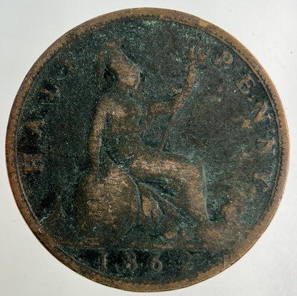 1862 Victoria Half - Penny Coin | Collectable Grade