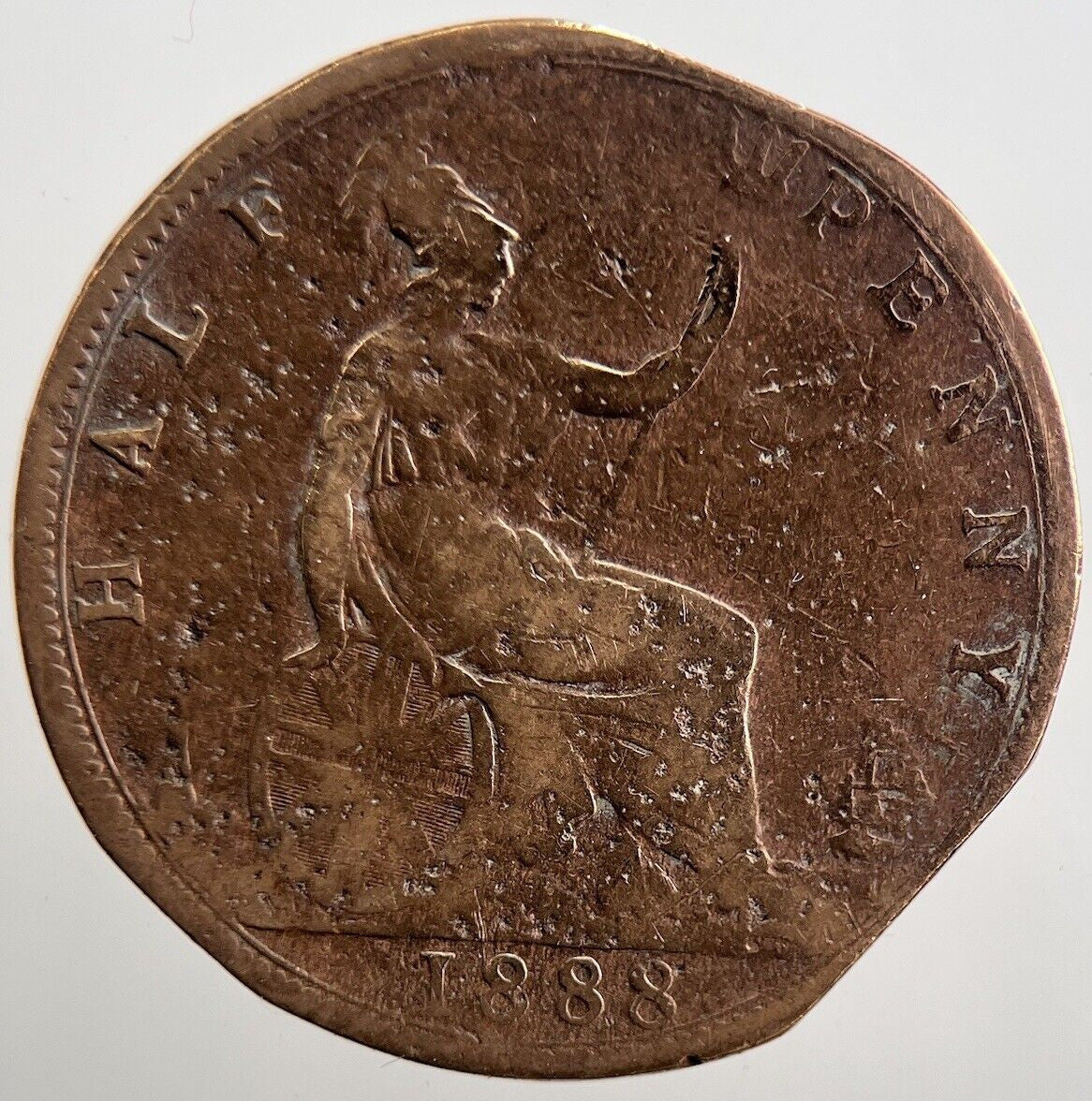 1888 Victoria Half - Penny Coin | Collectable Grade | a3810
