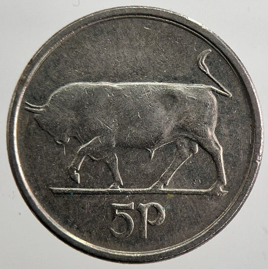 1994 Irish Bull 5p 5 Five - Pence Coin | Very High Grade | a7019
