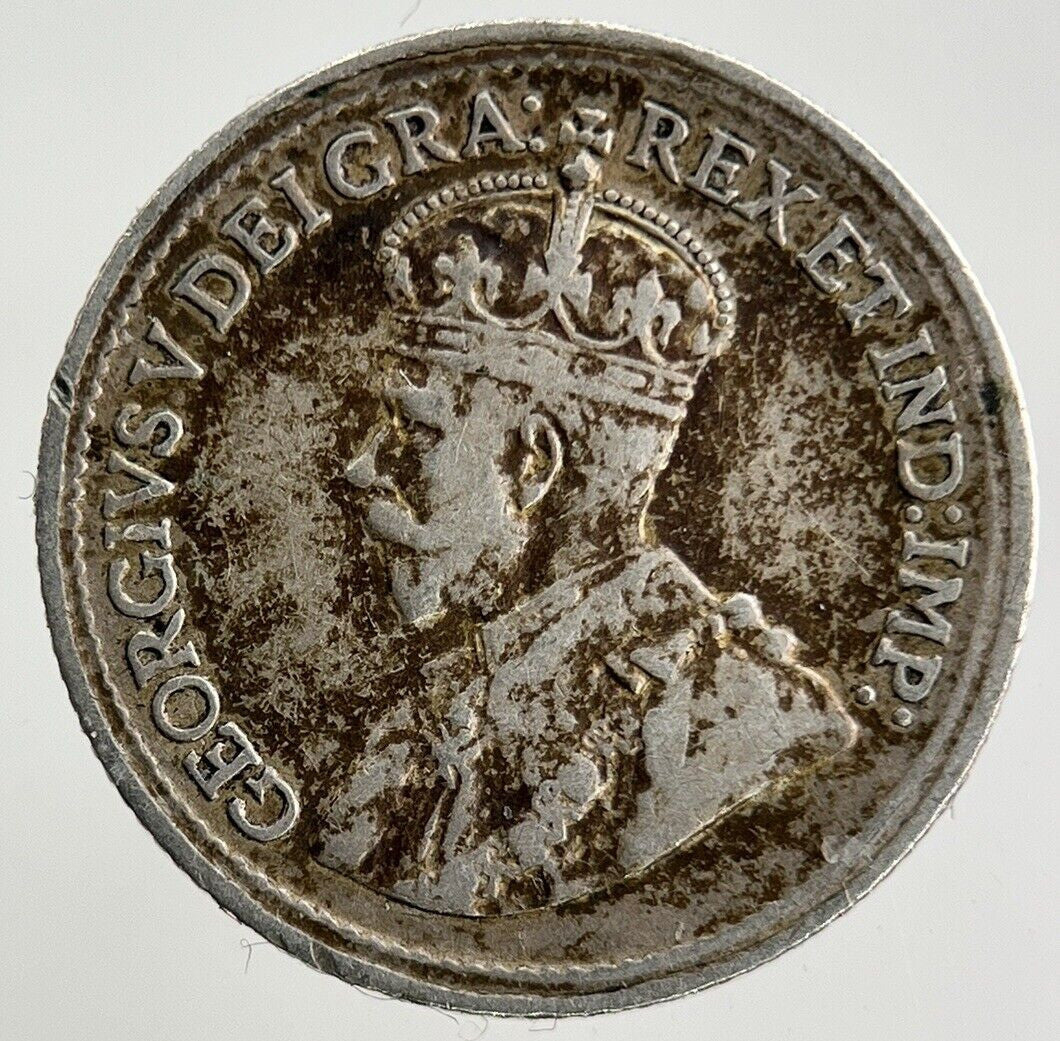 1920 Canada 5 Cents Silver Coin | Fine Collectable Grade