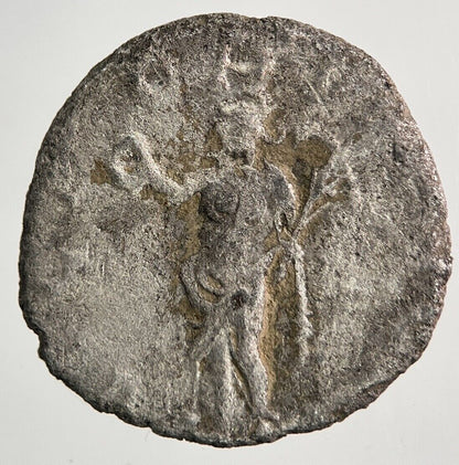 Ancient Roman Empire Denarius Silver Coin | Collectable Grade