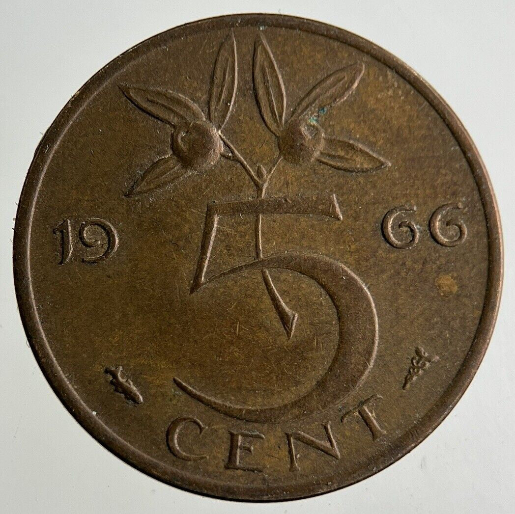 1966 Netherlands 5 Cents Coin | Fine Collectable Grade
