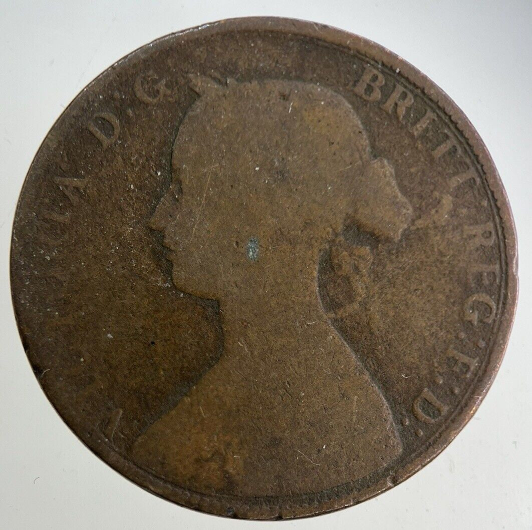 1861 Victoria Half - Penny Coin | Collectable Grade