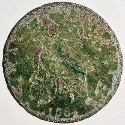 1884 Victoria Half - Penny Coin | Collectable Grade