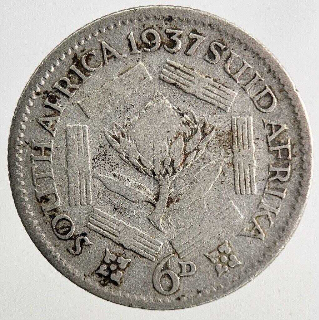 1937 South Africa Sixpence Silver Coin | Fair Grade
