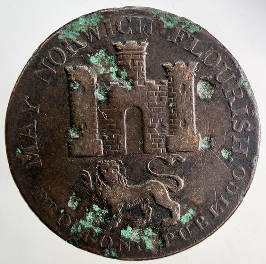 1792 Norwich Half-Penny Coin | Fine Collectable Grade