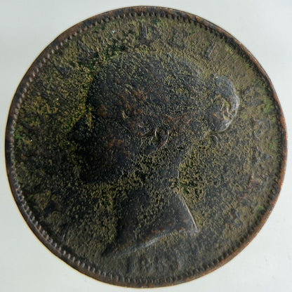 1853 Victoria Half - Penny Coin | Collectable Grade