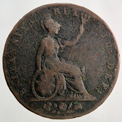 1826 George IV Half - Penny Coin | Collectable Grade