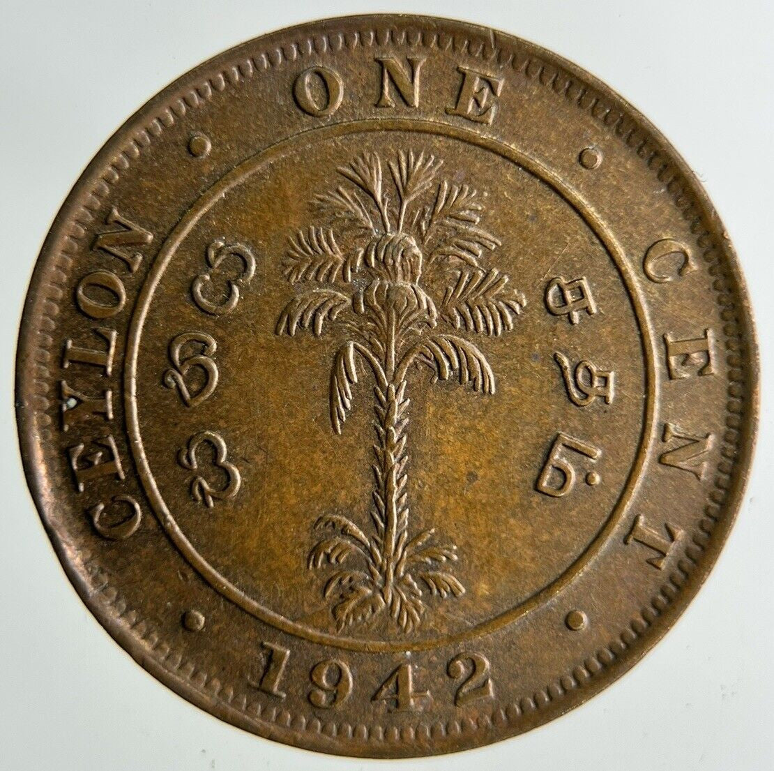 1942 Ceylon 1 One Cent Coin | Fine Collectable Grade