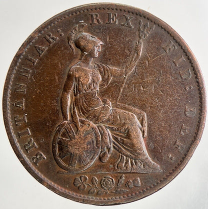 1834 William IV Half - Penny Coin | Fine Collectable Grade | a9466