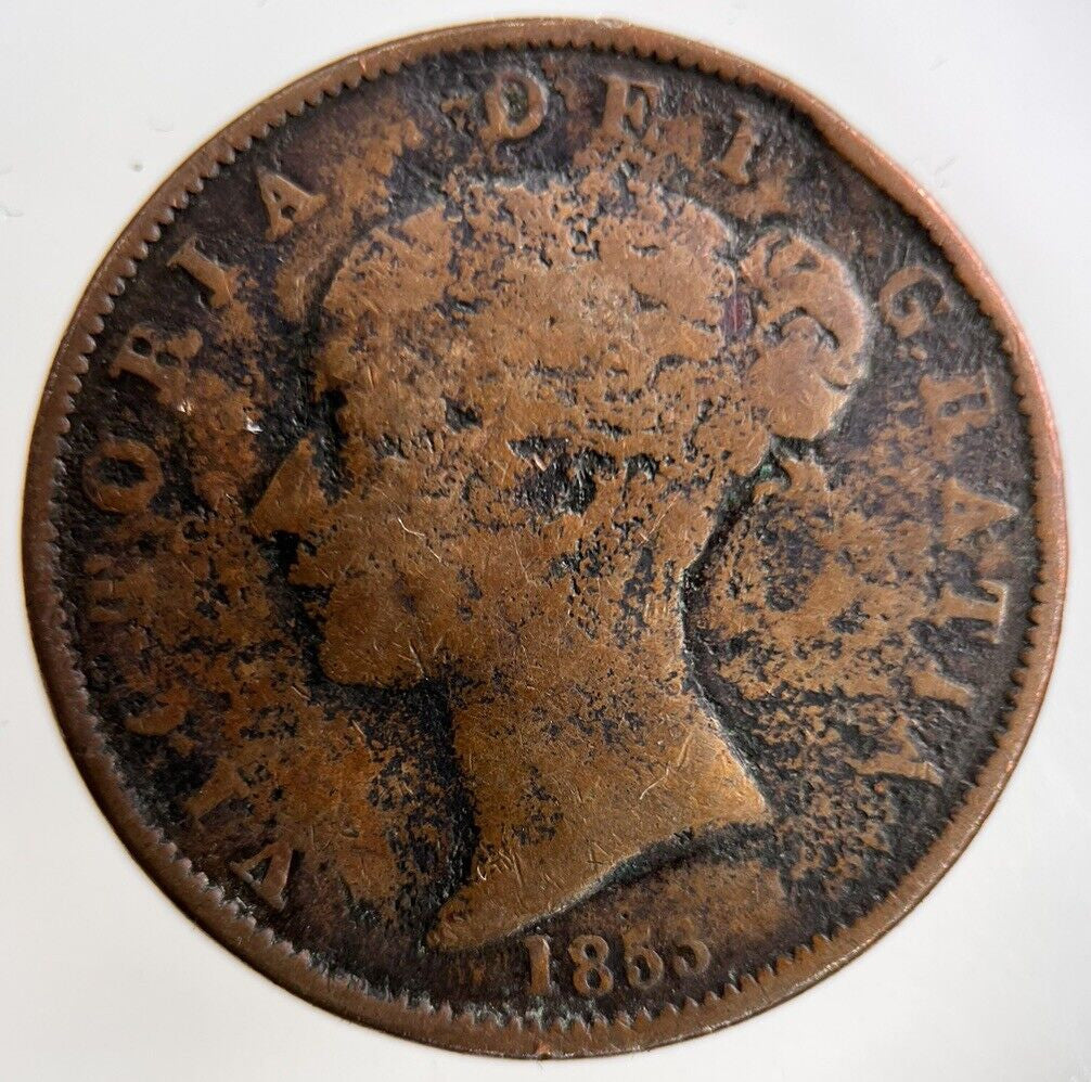 1853 Victoria Half - Penny Coin | Collectable Grade