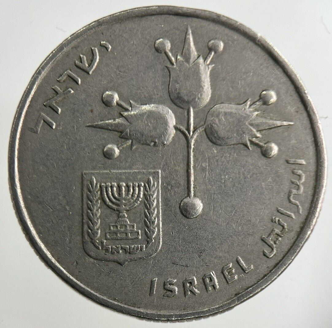 Israel 1 Lira Coin | Fine Collectable Grade