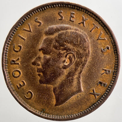 1951 South Africa Half - Penny Coin | Fine Collectable Grade | a5685