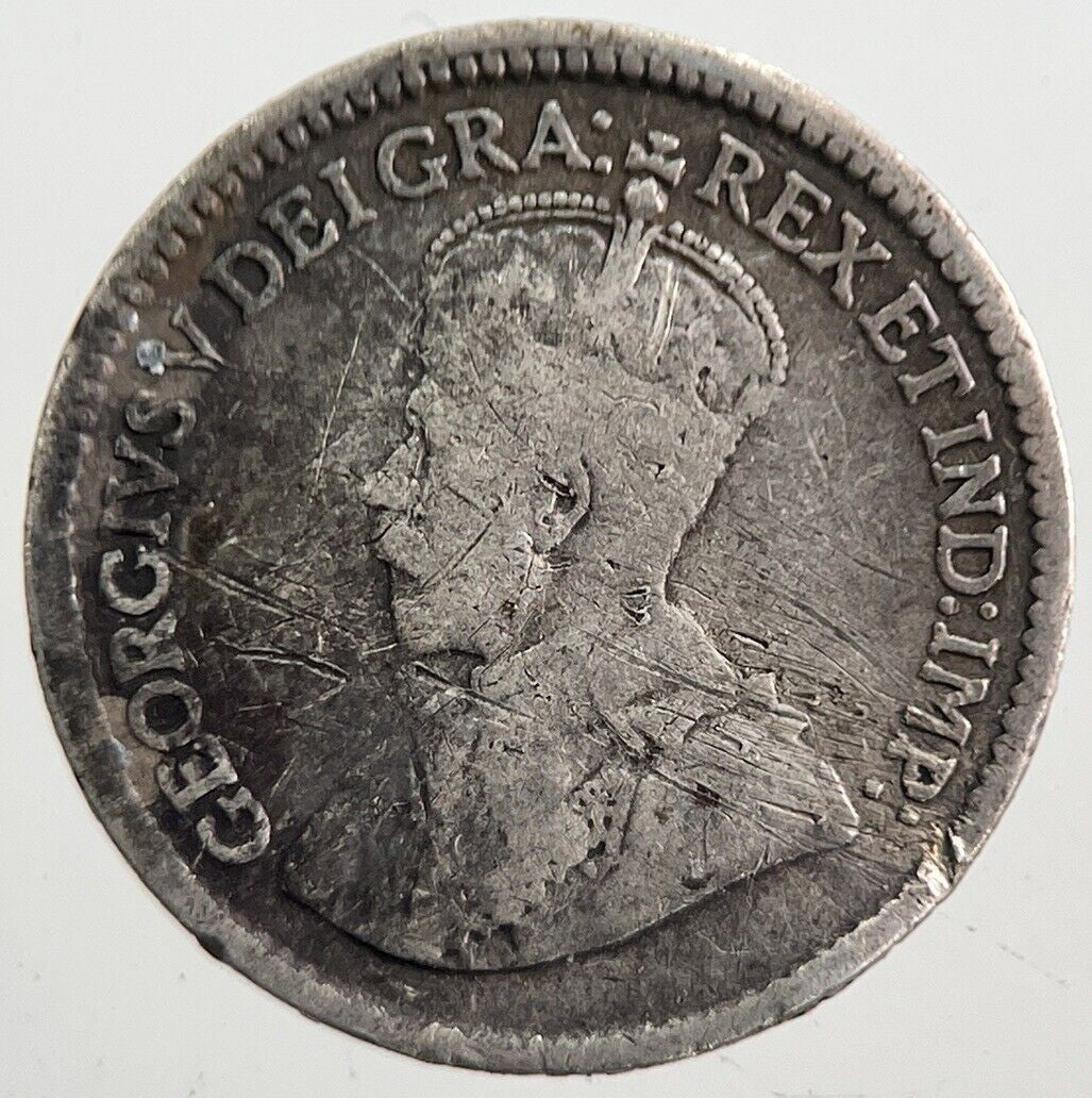 1917 New Foundland 5 Cents Silver Coin | Collectable Grade | a7649