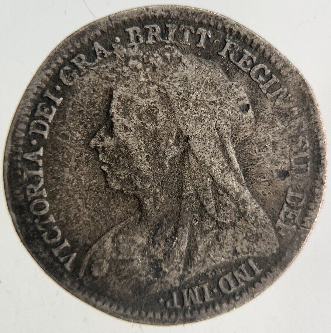 1895 Victoria Threepence Silver Coin | Collectable Grade