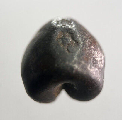 1851 - 1860 Thailand Bullet 1 One Baht Rama IV Silver Coin | Collectable Grade