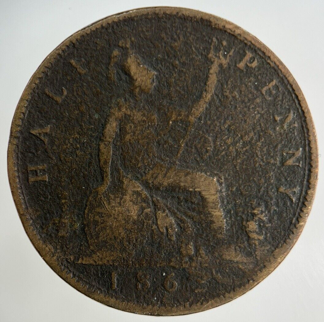 1862 Victoria Half - Penny Coin | Collectable Grade