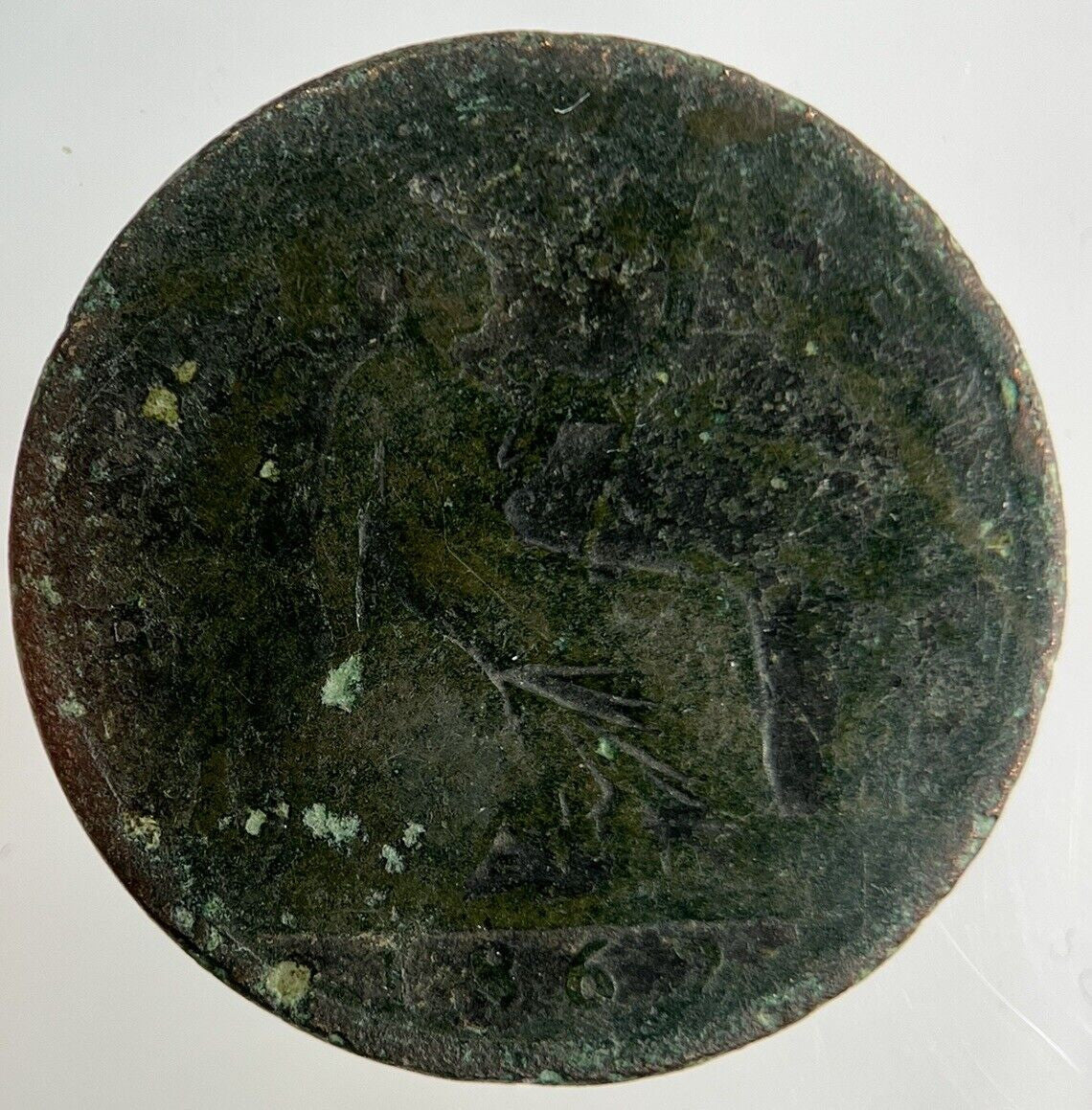 1862 Victoria Half - Penny Coin | Collectable Grade