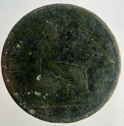 1862 Victoria Half - Penny Coin | Collectable Grade