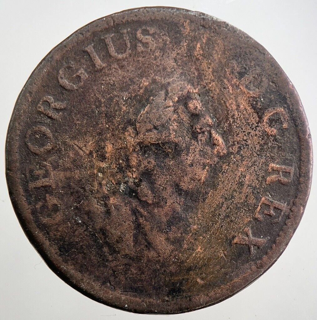 1805 George III Irish Hibernia Half - Penny Coin | Collectable Grade | a7996
