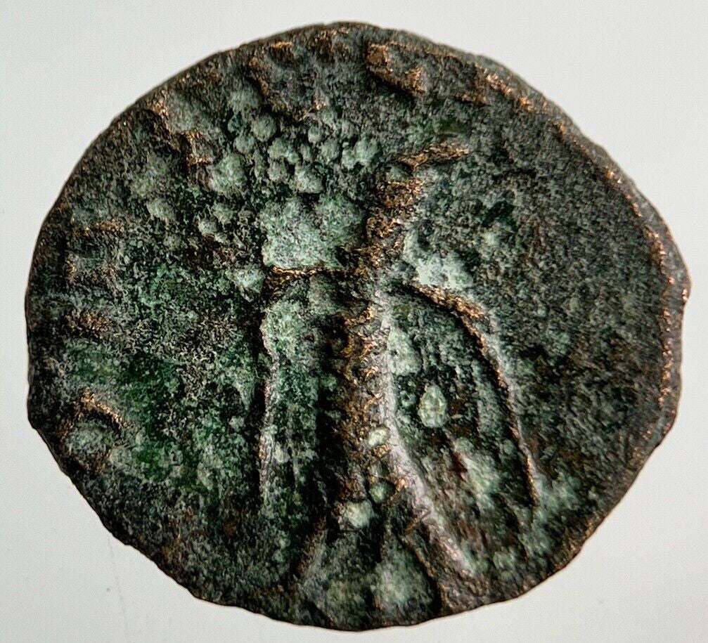 Ancient Roman Rome Bronze Denarius Coin | Collectable Grade