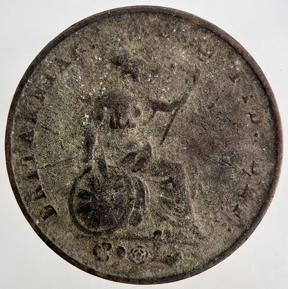 1853 Victoria Half - Penny Coin | Collectable Grade
