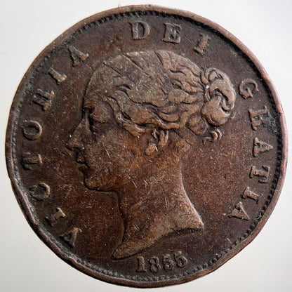 1855 Victoria Half-Penny Coin | Fine Collectable Grade | a3806