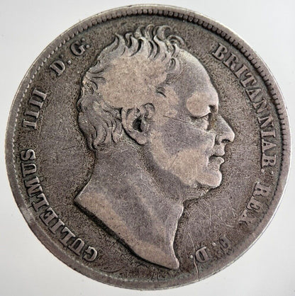 1836 William IIII IV Half - Crown Silver Coin | Fine Collectable Grade a8595