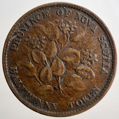 1856 Victoria Canadian Scotia Half-Penny Token Coin | Collectable Grade | a849