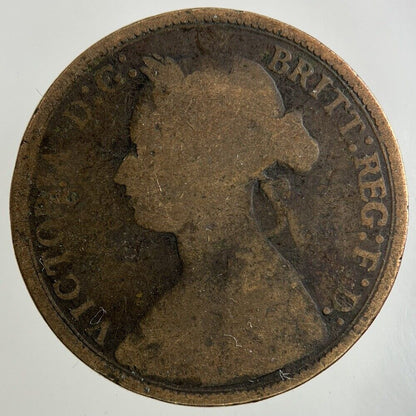 1877 Victoria Half - Penny Coin | Collectable Grade