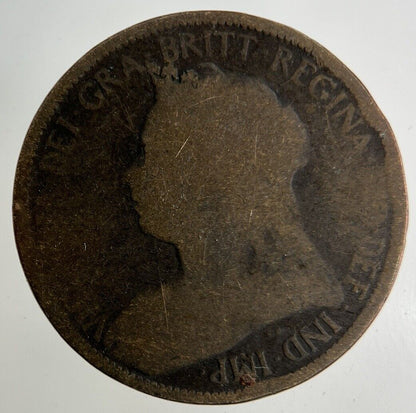 1900 Victoria Half - Penny Coin | Collectable Grade