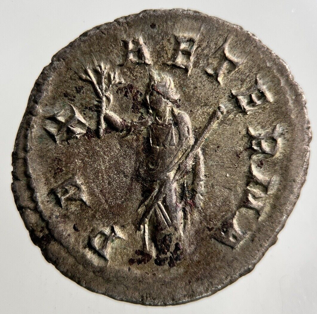 Ancient Roman Gordian III 241 - 243 Silver Coin | Very High Grade