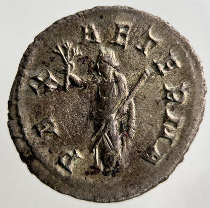 Ancient Roman Gordian III 241 - 243 Silver Coin | Very High Grade