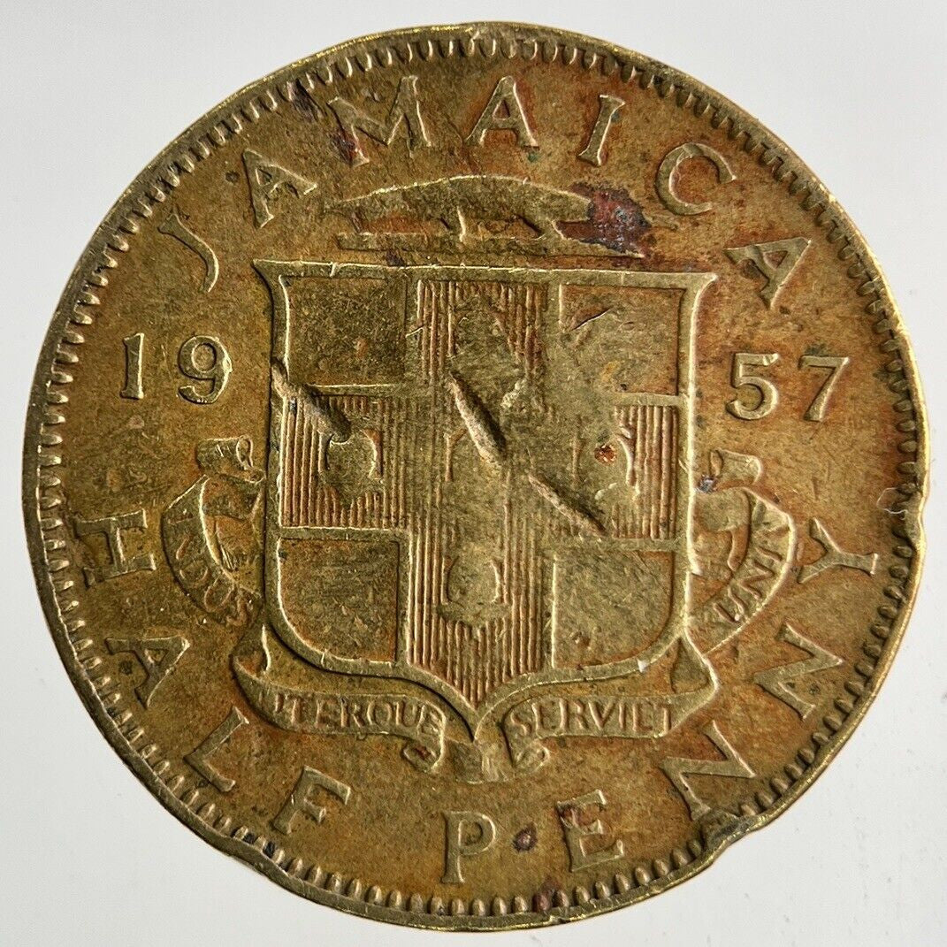 1957 Jamaica Half - Penny Coin | Collectable Grade