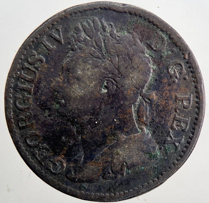 1822 Irish Hibernia Half - Penny Coin | Fine Collectable Grade | a6048