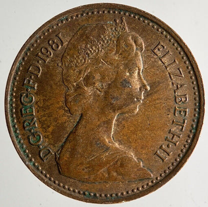 1981 Elizabeth II New 1/2 Half - Penny Coin | Very High Grade