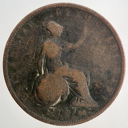 1831 William IV Half - Penny Coin | Collectable Grade