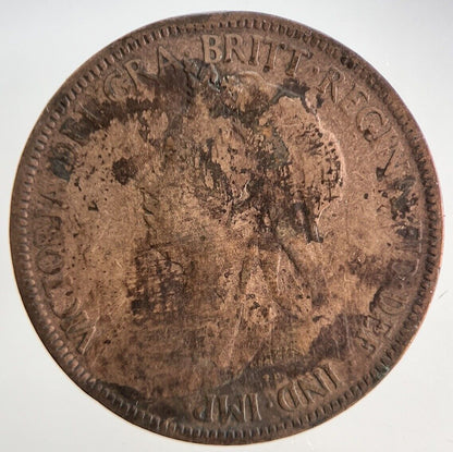 1901 Victoria Half - Penny Coin | Collectable Grade