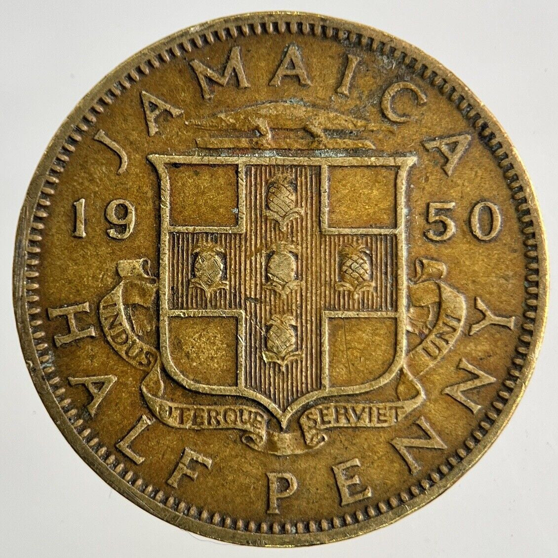 1950 Jamaica Half - Penny Coin | Fine Collectable Grade