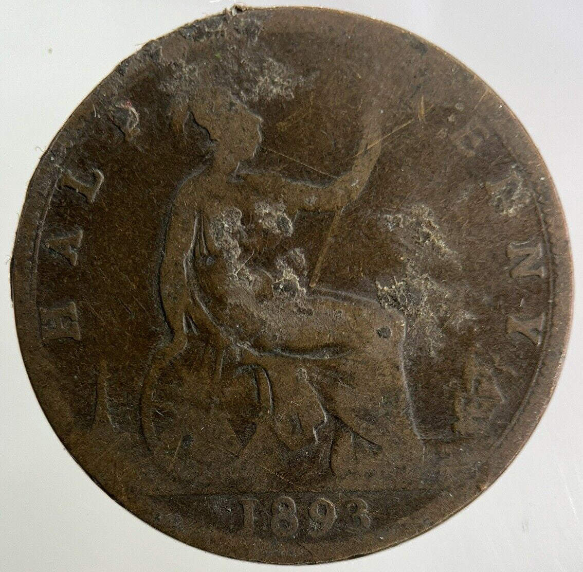 1893 Victoria Half - Penny Coin | Collectable Grade