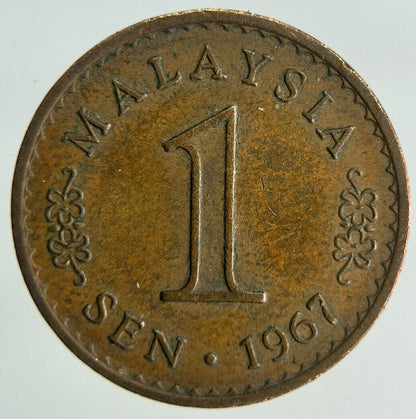 1967 Malaysia 1 Sen Coin | Fine Collectable Grade