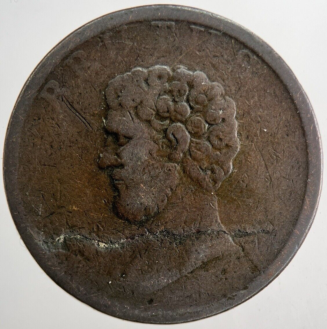 1800’s Brutus Half - Penny Token | Collectable Grade | a6547