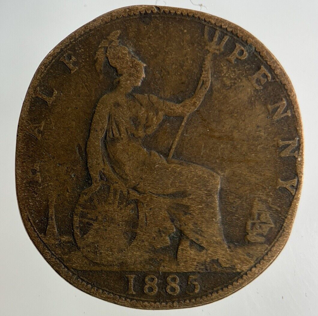 1885 Victoria Half - Penny Coin | Collectable Grade