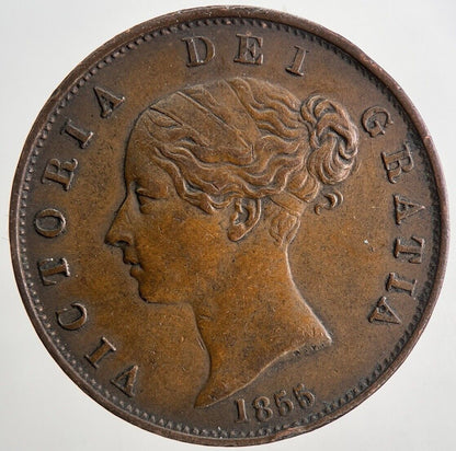 1855 Victoria Half-Penny Coin | Very High Grade | a9063